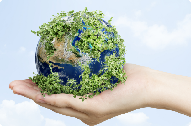 自然素材リノベーション