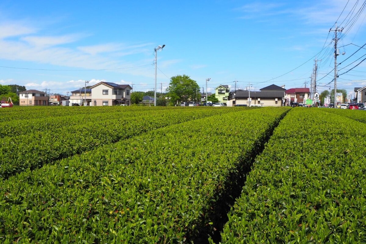 【狭山市の家づくり】注文住宅で実現！自然素材の暮らし